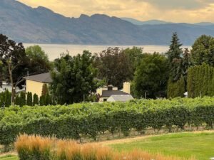 The Modest Butcher Kitchen Menu